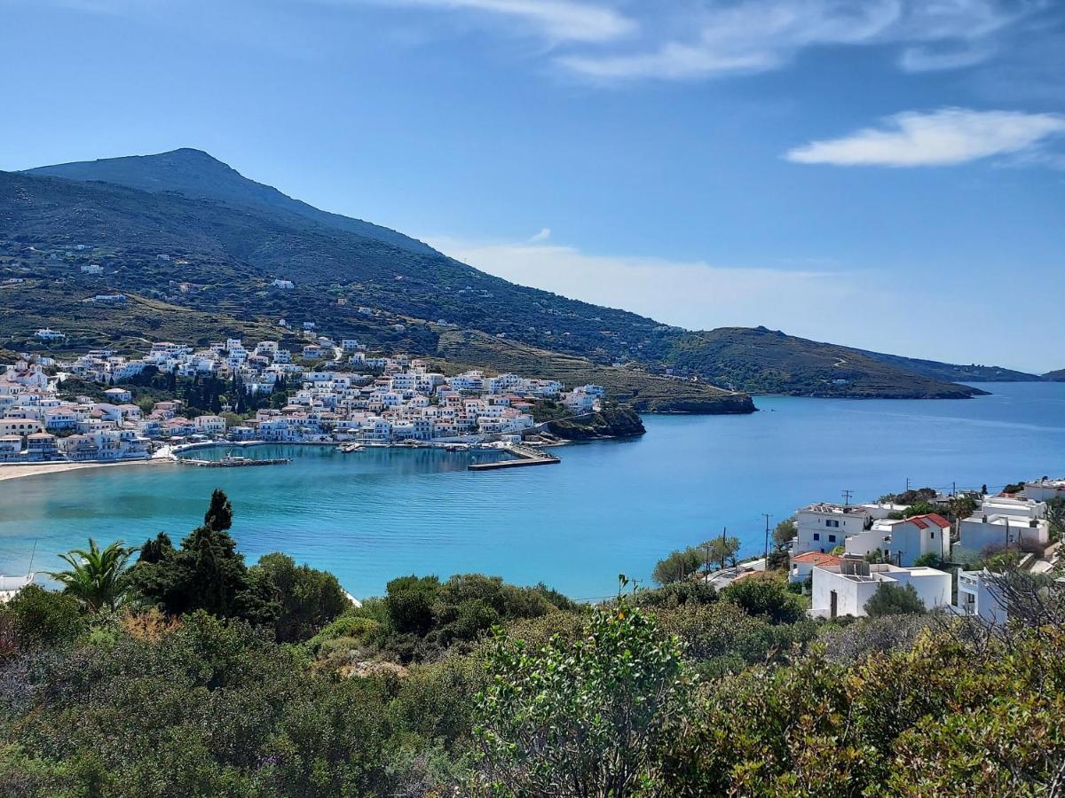 Villa Arni Andros - Βίλα Αρνη Bací Kültér fotó