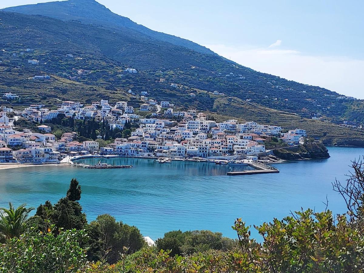 Villa Arni Andros - Βίλα Αρνη Bací Kültér fotó