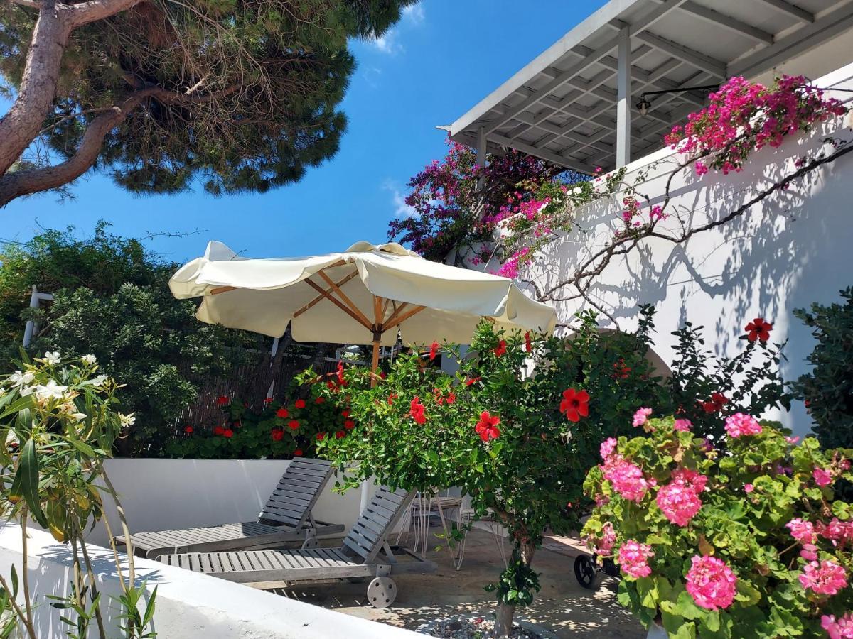 Villa Arni Andros - Βίλα Αρνη Bací Kültér fotó