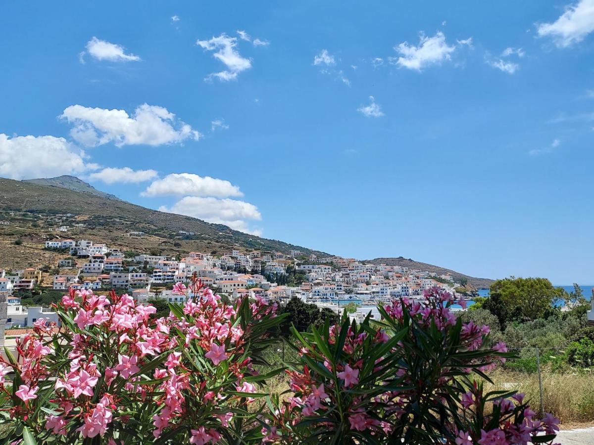 Villa Arni Andros - Βίλα Αρνη Bací Kültér fotó