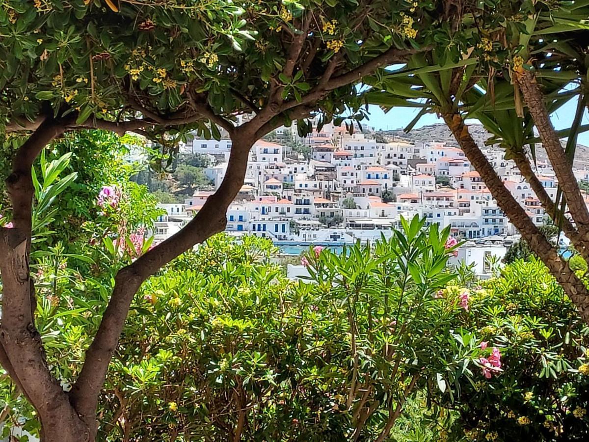 Villa Arni Andros - Βίλα Αρνη Bací Kültér fotó