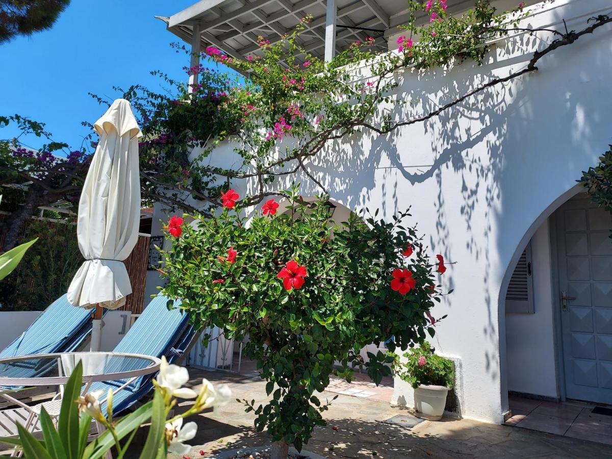 Villa Arni Andros - Βίλα Αρνη Bací Kültér fotó