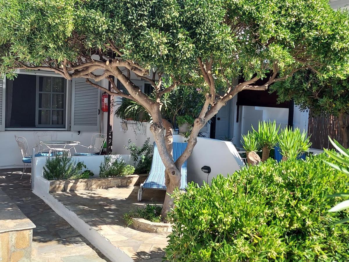 Villa Arni Andros - Βίλα Αρνη Bací Kültér fotó