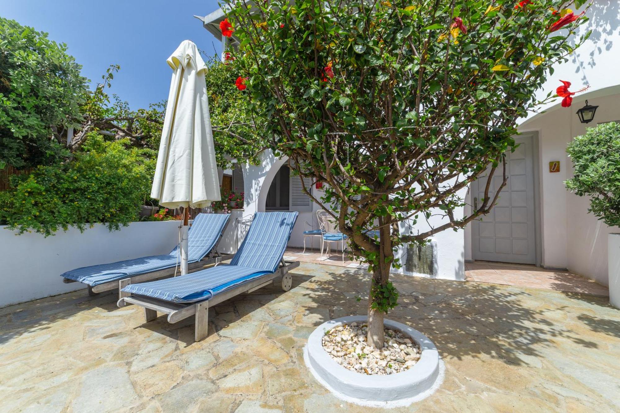 Villa Arni Andros - Βίλα Αρνη Bací Kültér fotó