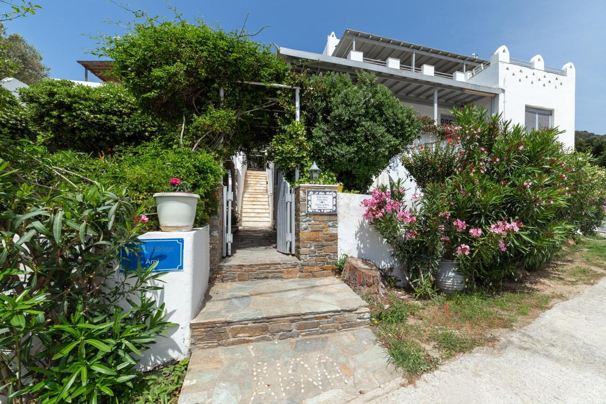 Villa Arni Andros - Βίλα Αρνη Bací Kültér fotó